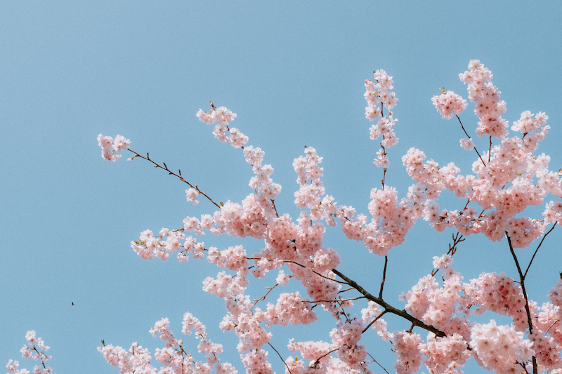またいつかと手を振るその日を、心に残る1日に