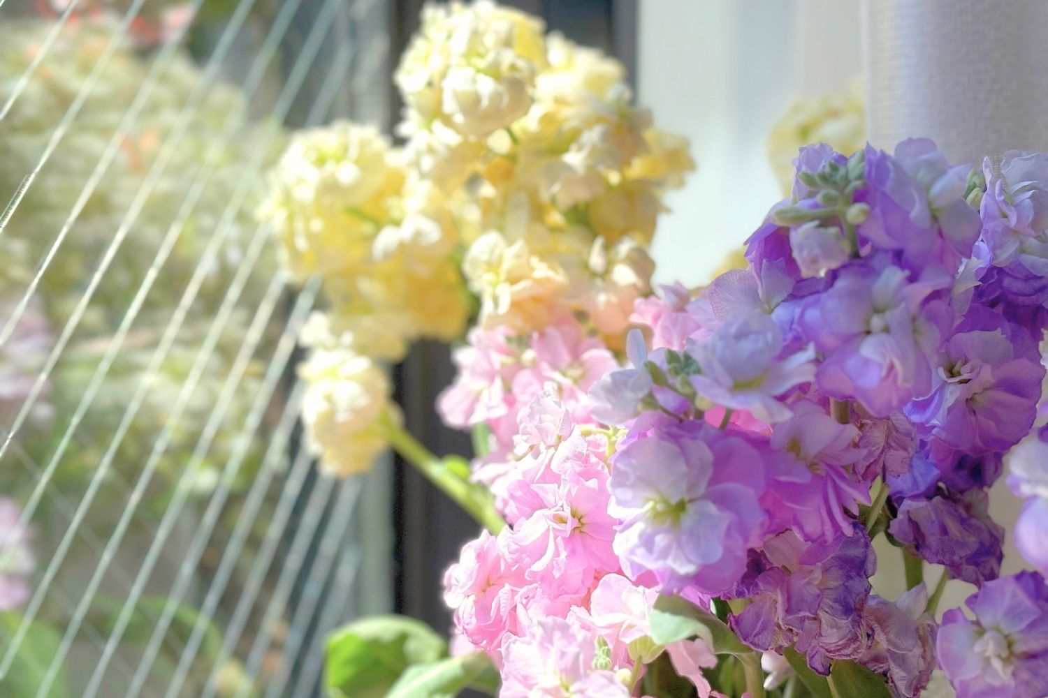 ＜香りを楽しむ生花＞ 新生活の心を整える、「癒しの空間づくり」のガイド。